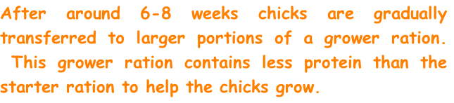 After around 6-8 weeks chicks are gradually transferred to larger portions of a grower ration. &nbsp;This grower ration contains less protein than the starter ration to help the chicks grow.